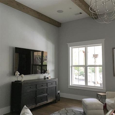 Behr Dolphin Fin Paint Colors In 2019 Living Room