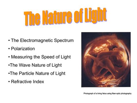 The Nature Of Light Powerpoint