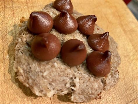 3 Ingredient Healthy Coconut Cookies Melina Fitness