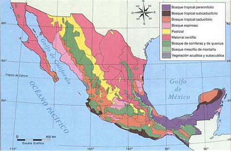 Mapa De Los Ecosistemas De Mexico Tados