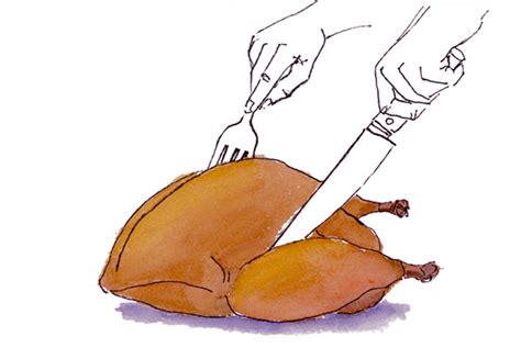 workbook illustrated how to carve a turkey