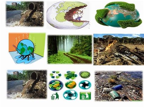Ecologia Collage Del Impacto Positivo Y Negativo De Las Actividades