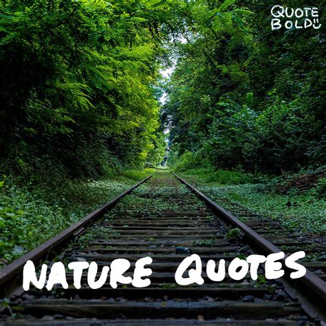 51 Best Nature Quotes To Inspire Your Day Quotebold
