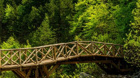 Free Photo Wooden Bridge Bridge Landscape Natural