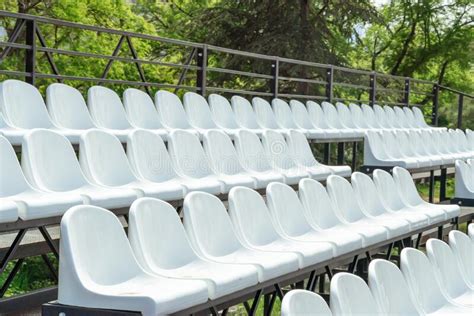 Seats Of Tribune On Sport Stadium Concept Of Fans Chairs For Audience