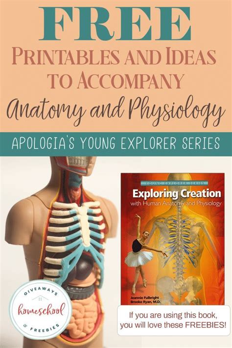 Free Apologia Anatomy And Physiology Worksheets For Elementary Science