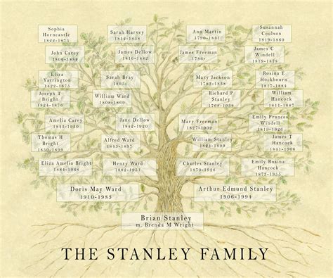 Jonathan Stoner Family Tree Genealogy Born 1979redpit Category
