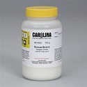 Sodium Nitrite, Reagent Grade, 100 g | Carolina.com