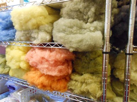 4 4 Oz Bundles Of Natural And Natural Dyed Carded Wool Batts Etsy