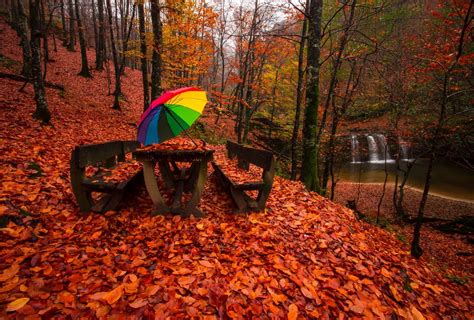 Lake Forest Turkey Bursa Tree Water Autumn Landscape Waterfall