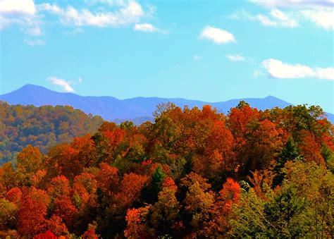 Fall Colors North Carolina Mountains Wallpaper Free