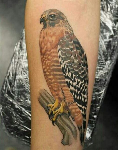 Red Tailed Hawk Tattoos Tattoo