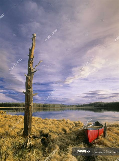 Canoe Moored On Grassy Shore Of Boggy Lake Near Cremona Alberta