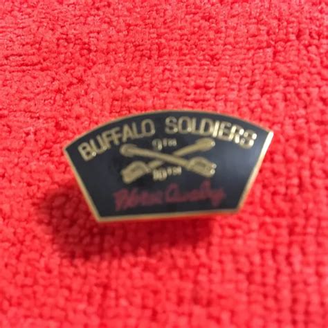 Us Army 9th And 10th Cavalry Buffalo Soldiers Horse Cavalry Hat Pin 890