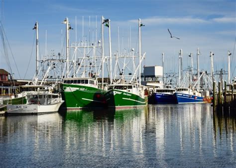 Boats In The Harbor Cape May Picture Of The Day