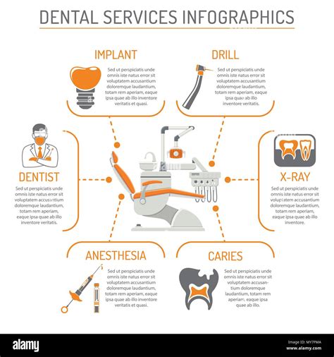 Los Servicios De Odontología Y Estomatología Infografía Imagen Vector