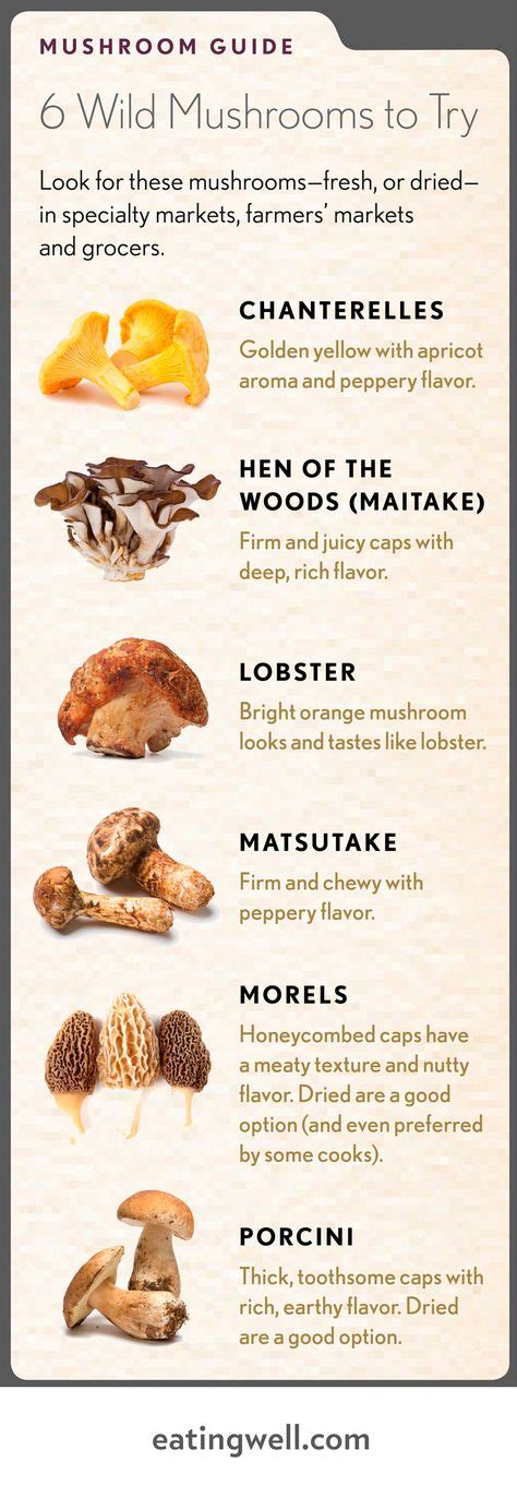 Identify Edible Mushrooms