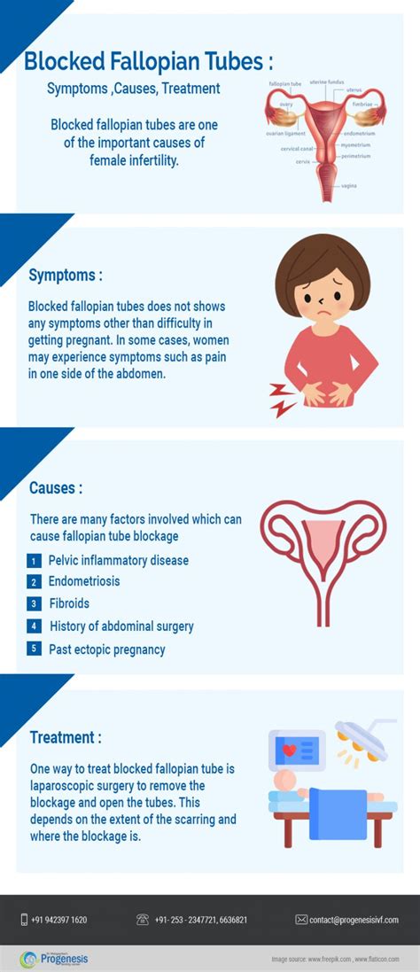 Blocked Fallopian Tube Symptoms Causes And Treatment Infertility