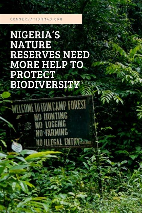 Nigerias Nature Reserves Need More Help To Protect Biodiversity