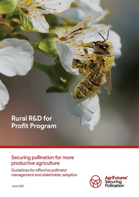 Securing Pollination For More Productive Agriculture Guidelines For