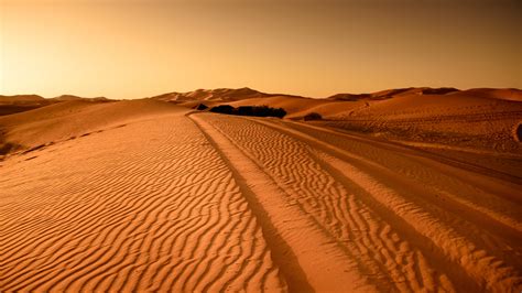 Africa Desert Dune Sand 4k 8k Hd African Wallpapers Hd Wallpapers