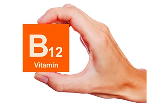 B12 Png Image Png Arts