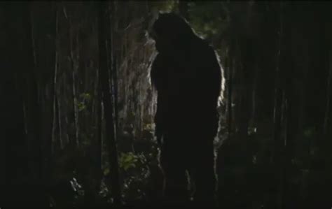 New Jersey Bigfoot Sighting Takes Place In The Pine Barrens