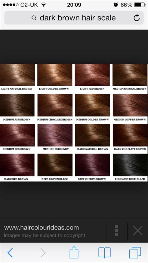 Brown Age Beautiful Hair Color Chart