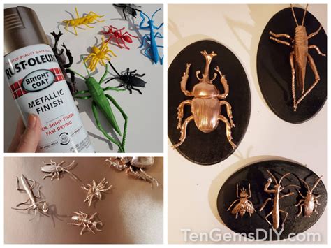 How To Make Faux Gilded Insect Taxidermy