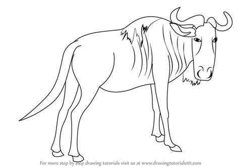 You can use our amazing online tool to color and edit the following wildebeest coloring pages. Learn How to Draw a Wildebeest (Wild Animals) Step by Step ...