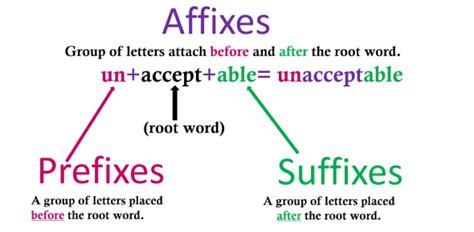 Prefix And Suffix Quiz For Students Trivia And Questions