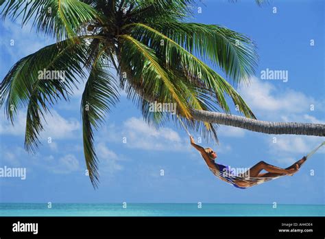 Woman Relaxing In Hammock Under Palm Tree Stock Photo Alamy