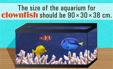 Indispensable Tips To Take Care Of Clownfish Your Personal Nemo Pet