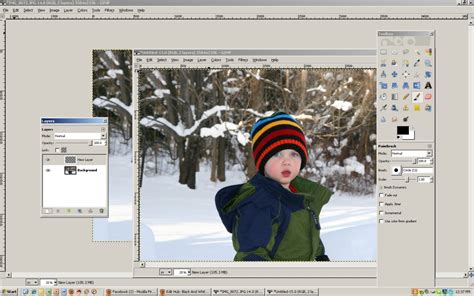 How To Make Photos Black And White With A Splash Of Color A Gimp Photo