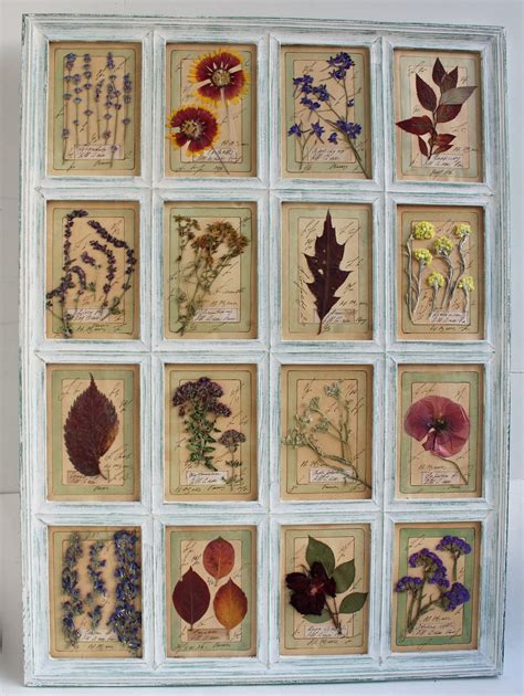 Pressed Flowers, Herbarium, pressed flower art, 29x21 inches (74x54 cm) Pressed Plants Framed ...