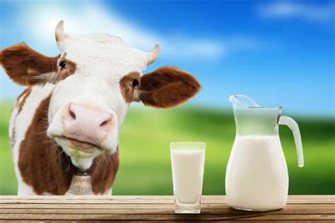 Busted 6 Milk Myths You Probably Believed To Be True