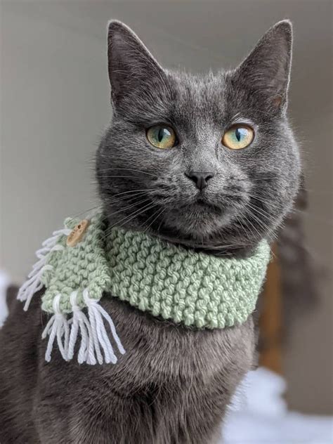 Handknitted Tassel Cat Scarf Etsy