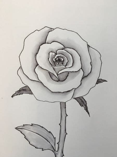 Learn how to draw a tulip with our easy step by step drawing tutorial. How to draw a rose. | Easy flower drawings, Cute flower ...