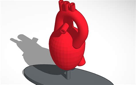 3d Design Heart Tinkercad