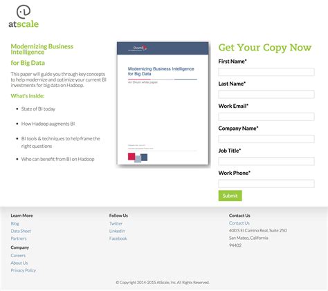 20 White Paper Landing Page Examples Critiqued