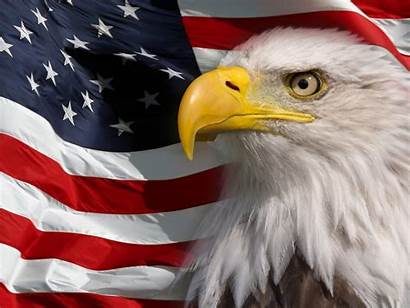 Eagle Flag American Bald Symbol America Pc