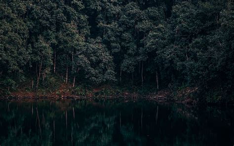 Download Wallpaper 3840x2400 Lake Trees Forest Reflection Begnas