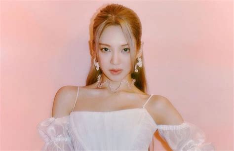 Girls Generation Hyoyeon How Much Has The Second Singer Earned