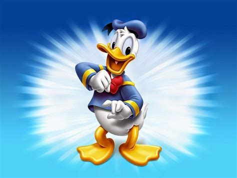 Donald Duck Cartoon Hd Desktop Background Wallpapers