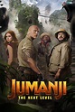 Jumanji: The Next Level (2019) - Posters — The Movie Database (TMDB)