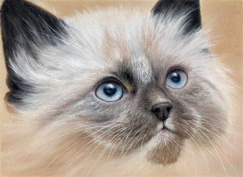 Draw These Animals Using Pastel Pencils Animal Drawings Drawings
