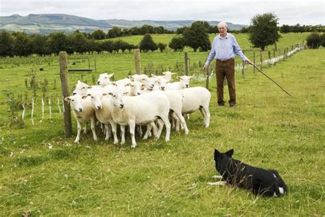 My Farming Week John Brennan Templemore Co Tipperary
