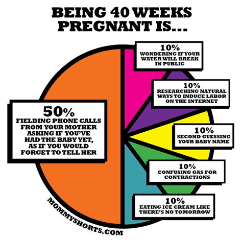40 Weeks Pregnant The Pie Chart Mommy Shorts