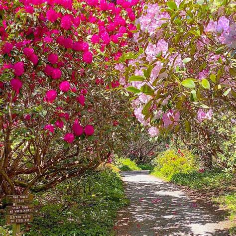 Best Botanical Gardens Southern California Fasci Garden