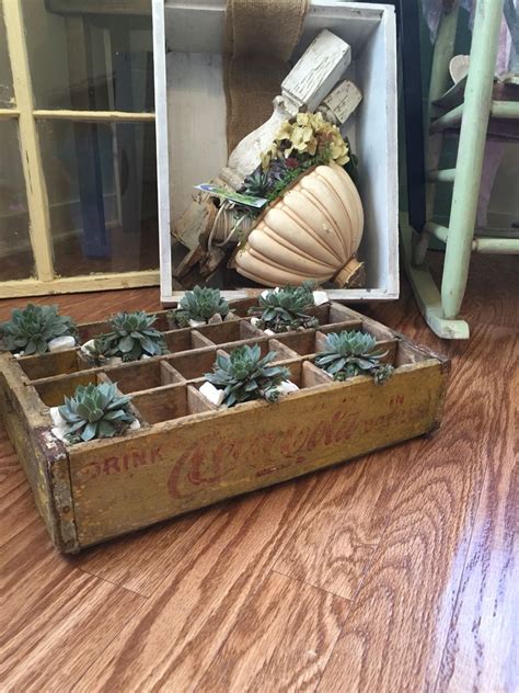 Old Coke Crate Planted With Sempervivums Pallet Wood Wood Pallets Old
